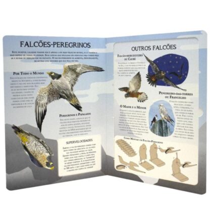 Livro faça as suas próprias aves de rapina - Todolivro - Image 4